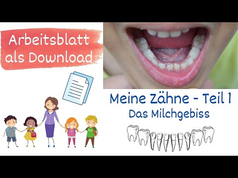 Meine Zähne Teil 1 - Das Milchgebiss, Sachunterricht Grundschule - mit Arbeitsblatt