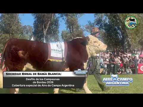 DESFILE DE LOS CAMPEONES! Sociedad Rural de Bahía Blanca 2026 - EXPO BORDEU