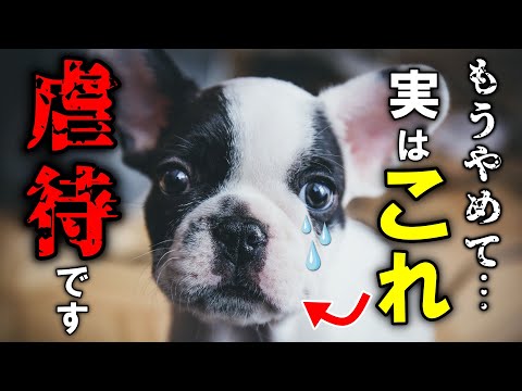 犬に対して絶対にしてはいけない12のこと