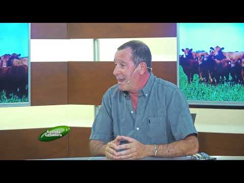 Agenda Ganadera - Tec. Álvaro García - 17-2-26
