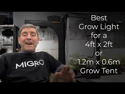 Best grow light for a 4 x 2 grow tent 2022 | 12 grow lights compared