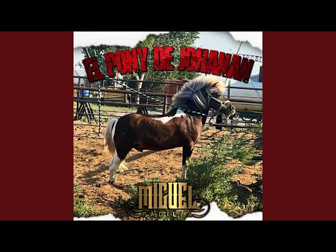 El Pony De Johanan
