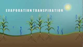 Understanding Evapotranspiration (ET)