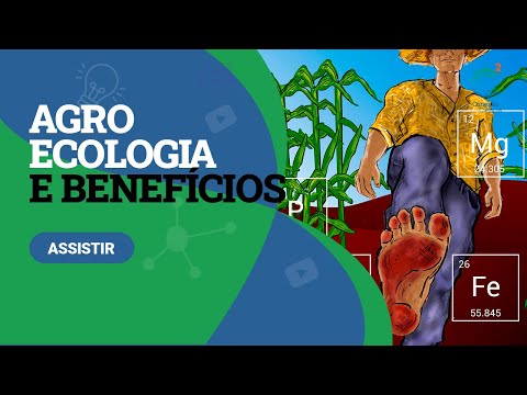 Agroecologia e seus benefícios
