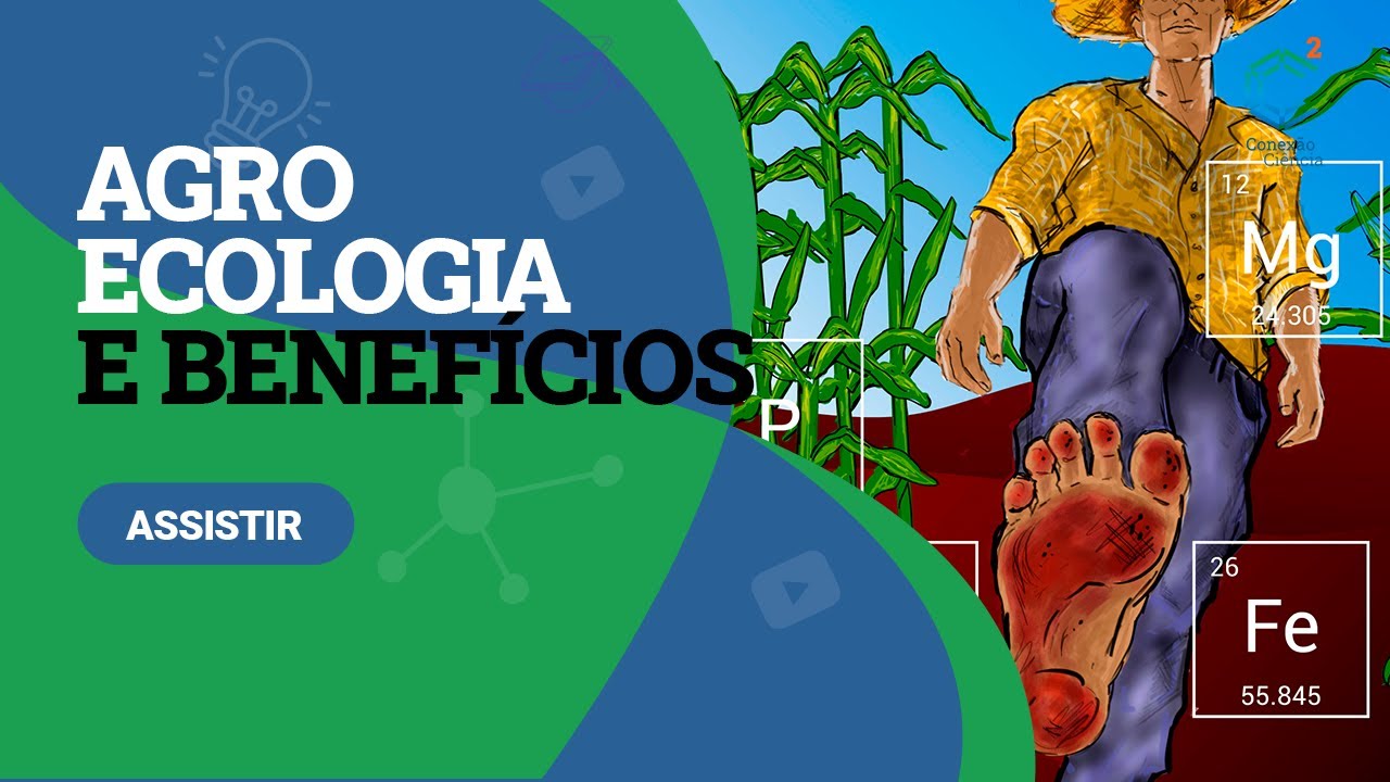 Agroecologia e seus benefícios