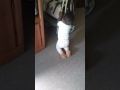 Me My LaKinzi Jamming To Todd S World Outro