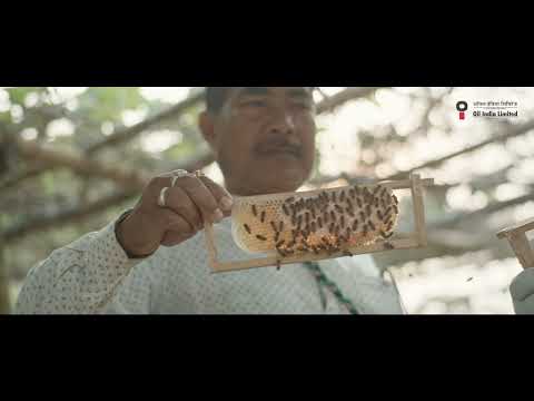 Sustainable Livelihood