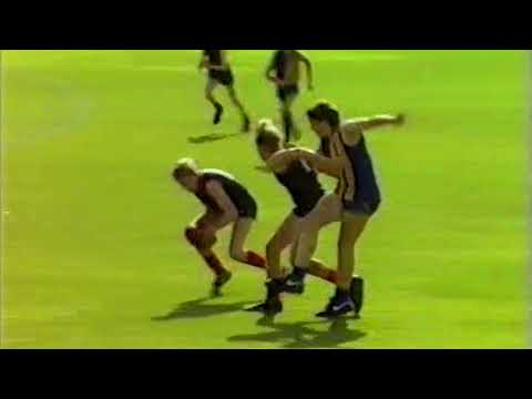 1991 PLFL U14 Grand Final  Lincoln South v Waybacks