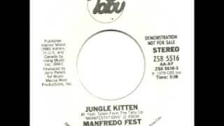 Manfredo Fest - Jungle Kitten.mpg