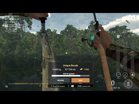 Fishing Planet   Amazonian Maze   Unique Bicuda