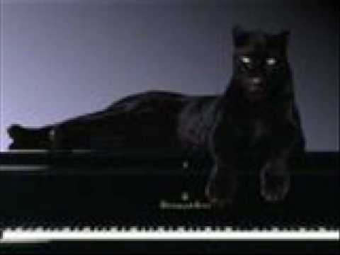 Caroline Dale - Empires of Light