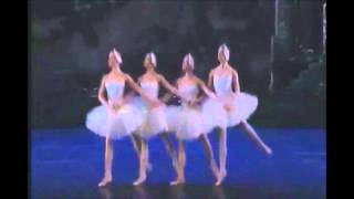 Pyotr Ilyich Tchaikovsky: Dance of little Swans piano version