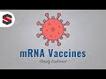 How mRNA Vaccines Work - Simply Explained How mRNA Vaccines Work - Simply Explained