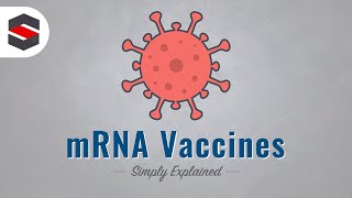How mRNA Vaccines Work - Simply Explained