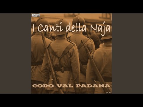 Oh macchinista forza il diretto