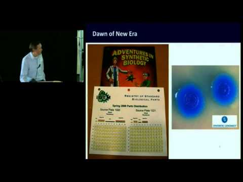 Meaningful Innovation: Whether to Design or Evolve?