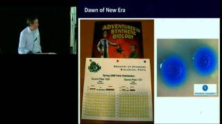 Meaningful Innovation: Whether to Design or Evolve?