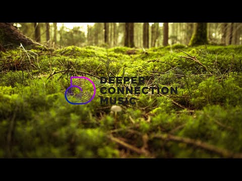 🍃 NEW DEEP HOUSE TROPICAL MIX 2023 🍃 Forest Edition 4k | Chillout Lounge Mix