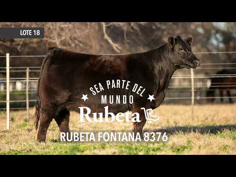 18   RUBETA FONANTA 8376