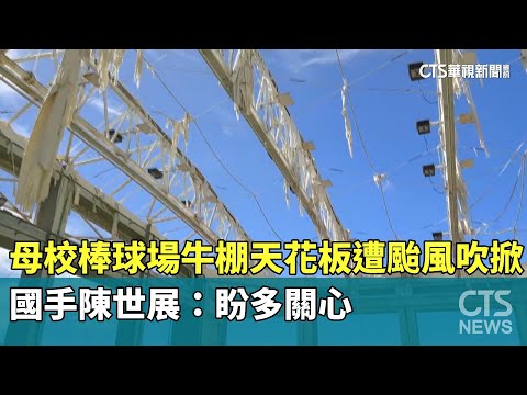 母校棒球場牛棚天花板遭颱風吹掀　國手陳世展：盼多關心