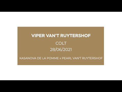 Viper V'ant Ruytershof
