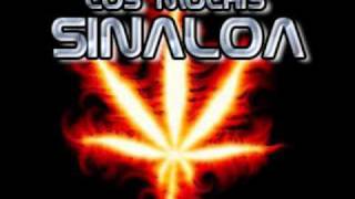 fuego cruzado regulo caro(2011)