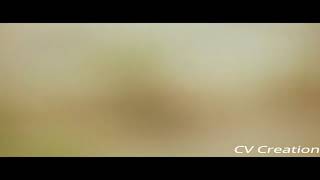 Download lagu Vaaranda vaaranda WhatsApp status/vijay WhatsApp status/Thalapathy status/vijay mass status mp3 Download lagu Vaaranda vaaranda WhatsApp status/vijay WhatsApp status/Thalapathy status/vijay mass status mp3