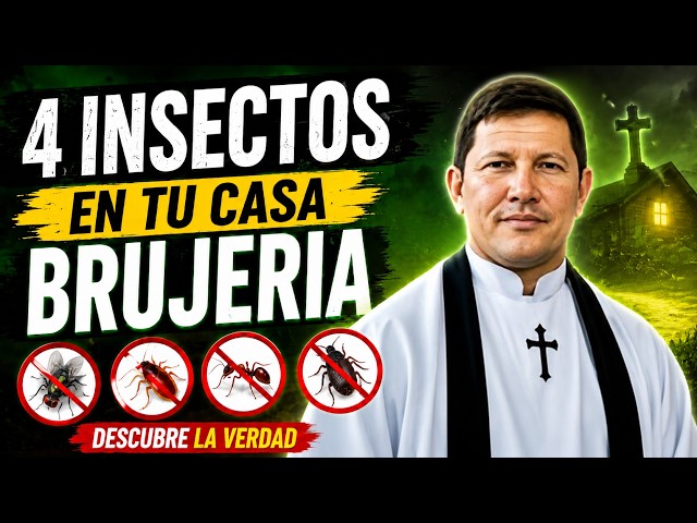 Vídeo relacionado con Oshhni Ciempiés Falso, Figuras de Animales de Halloween, Accesorios de Terror Suministros para Fiestas Modelo Halloween, Modelo Simulación, 48 Piezas