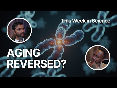 How Naked Mole Rats Might Hold the Secret to Aging (FFP Story | EP. 13)