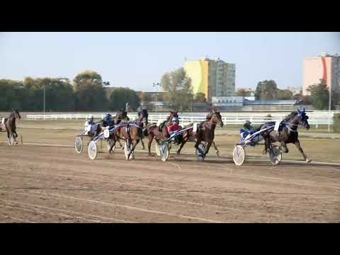 2018.10.13. 05. futam - TÓBIÁS DÍJ