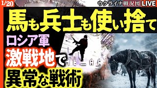 🔥衝撃：ロシア軍、兵士と馬を『使い捨て』異常戦術が発覚！ポクロフスクで一体何が？【ウクライナ戦況Live】速報）最高度の防空網を抜けてロシア重要施設がドローン攻撃で損害！