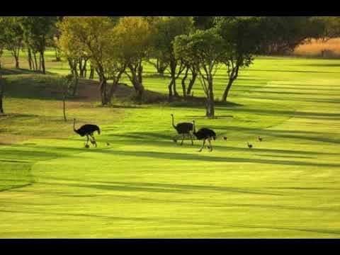 Zebula Golf Estate and Spa