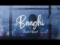Baaghi OST Slowed Reverb Lofi Lobo