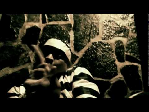 MURDER CAT DALE VALOR