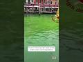 Why Did Venice Canal Water Turn Bright Green? #shorts