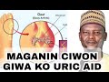 Maganin Ciwon Giwa Uric Acid Sheikh Abdulwahab Abubakar Goni Bauchi