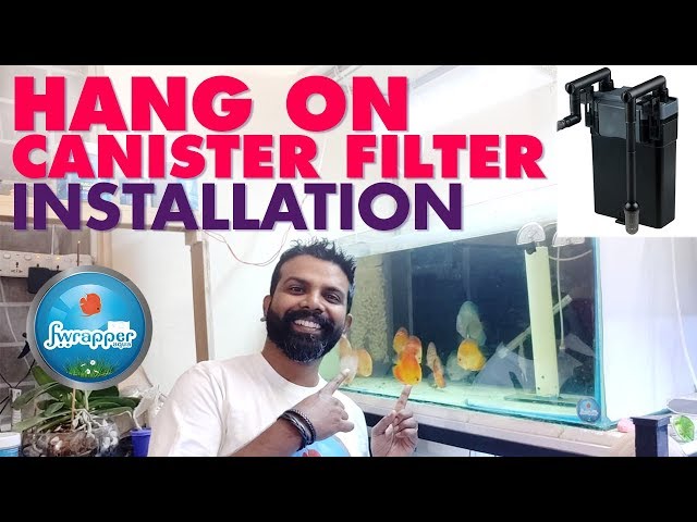 Hang On Back Canister Filter Installation || HOB Filter || Discus Fish Tank Filter