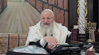 איך תראה הגאולה השלימה | הרב שמואל אליהו | הלכה יומית | כ״ח חשון תשפ״ה (הרב שמואל אליהו) - התמונה מוצגת ישירות מתוך אתר האינטרנט יוטיוב. זכויות היוצרים בתמונה שייכות ליוצרה. קישור קרדיט למקור התוכן נמצא בתוך דף הסרטון