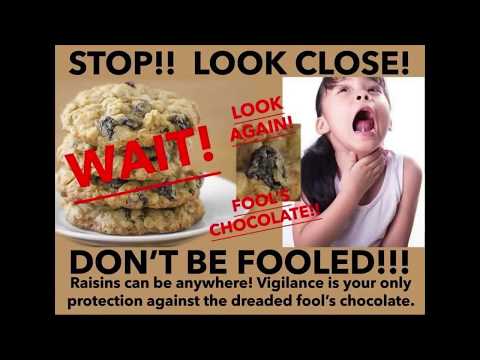 Funny pictures and Memes from eBaum's World