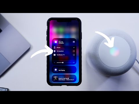 iOS 12.4 Beta Update!