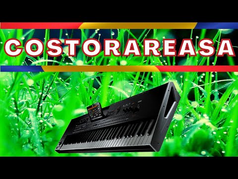 COSTORAREASA - COSTORARESELE- PUTINEIU' DANS POPULAR