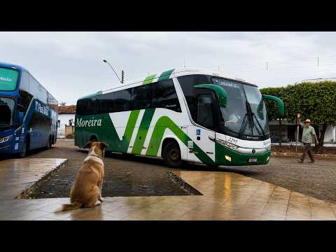 CAPRICHO NO ONIBUS DA MOREIRA - GOIANIA a ITABERAÍ GOIÁS