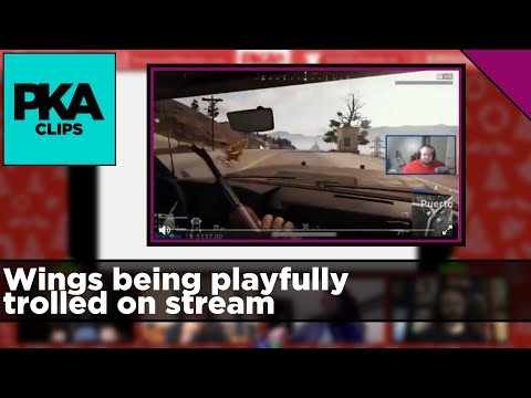 Wings being playfully trolled on stream - PKA Clip