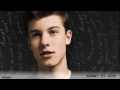 Shawn Mendes -  Evolution (2012 - 2017)