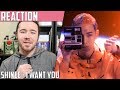 SHINee(샤이니) I Want You MV Reaction SHINee(샤이니) I Want You MV Reaction