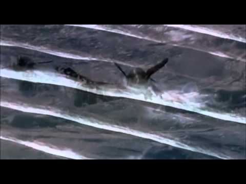 The Art of Bodybuilding - Bodybuilding Motivation