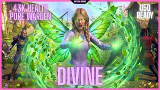 The DIVINE Pure Warden Healer — Group PvP Build