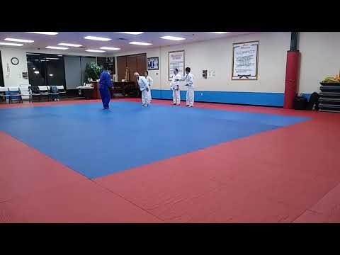 Judo practice 12.12.2017 (2)