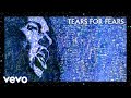 Tears For Fears - Laid So Low (Tears Roll Down) Tears For Fears - Laid So Low (Tears Roll Down)
