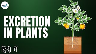Life Processes - Lesson 18 | Excretion in Plants - in Hindi (हिंदी में ) | Infinity Learn